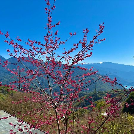 Tian Hsiang Tea B&B Ренай Экстерьер фото