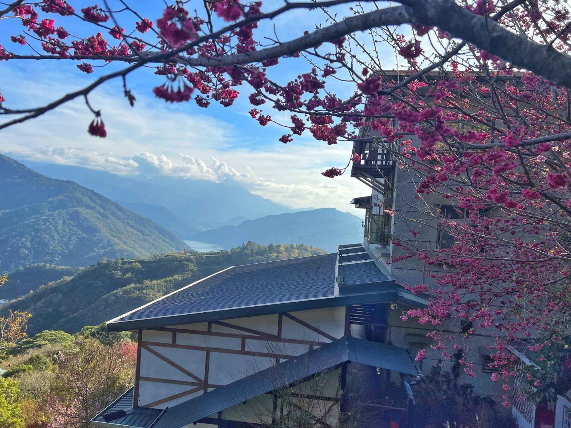 Tian Hsiang Tea B&B Ренай Экстерьер фото