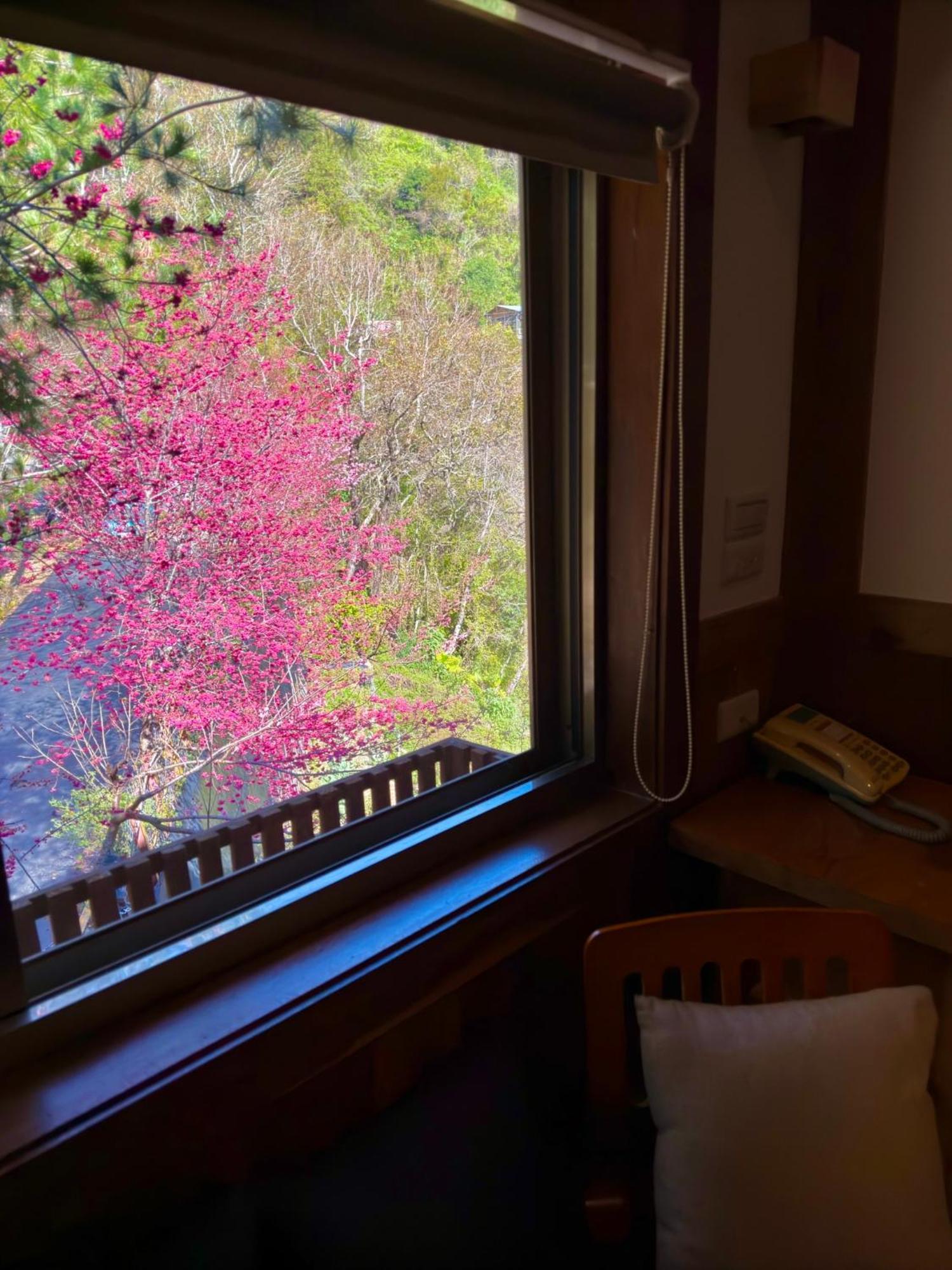 Tian Hsiang Tea B&B Ренай Номер фото
