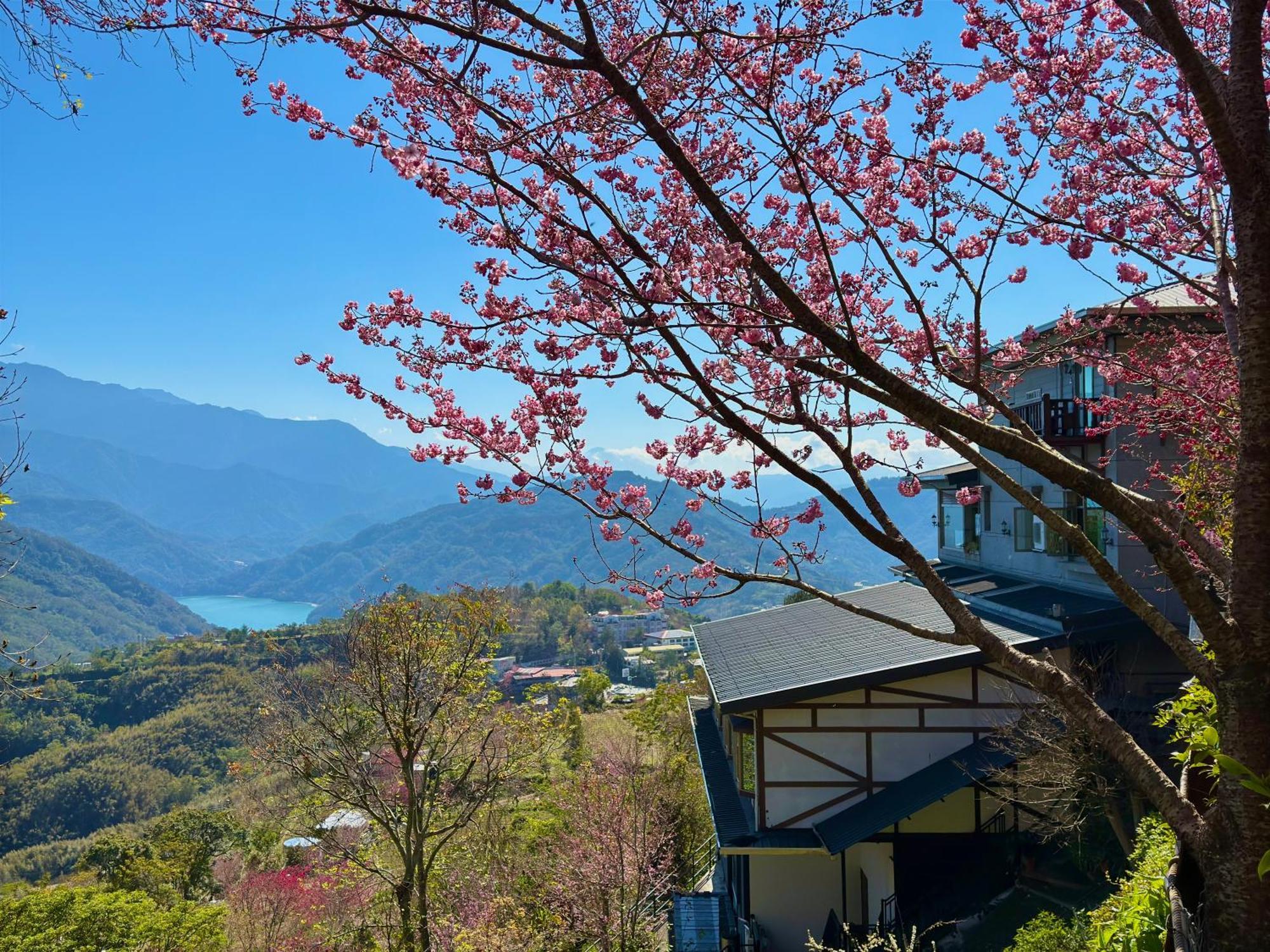 Tian Hsiang Tea B&B Ренай Экстерьер фото