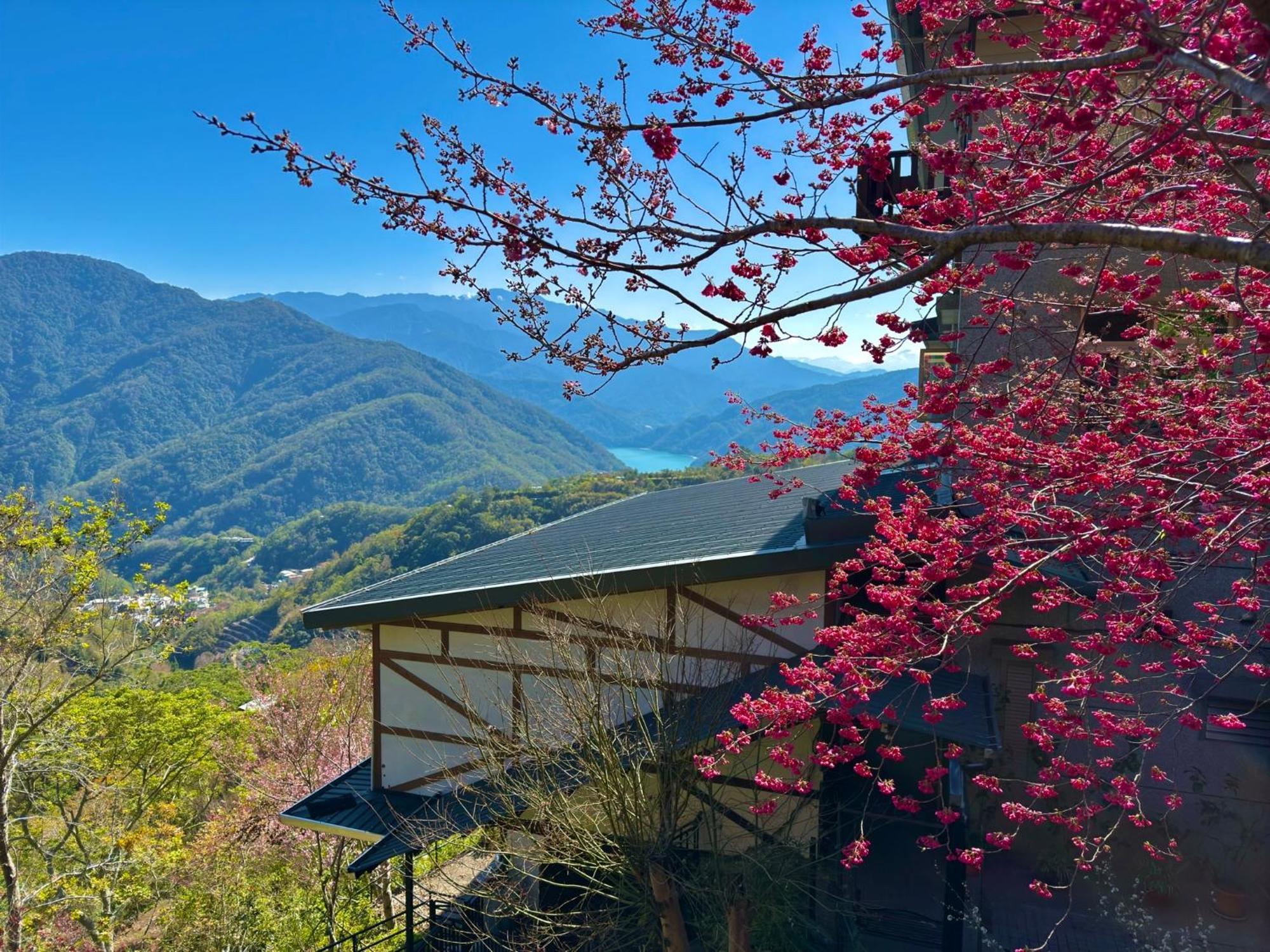 Tian Hsiang Tea B&B Ренай Экстерьер фото